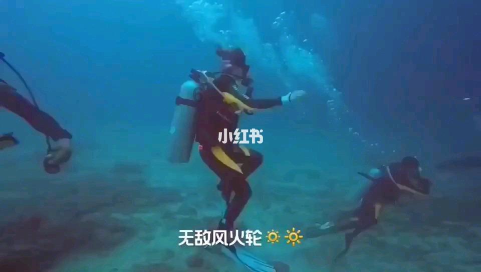 新春佳节本是同庆之日,刘禹锡写下千古名句,却令人惆怅千年